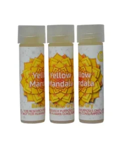 Buy Yellow Mandala Online 